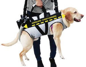 dog-harness.jpg